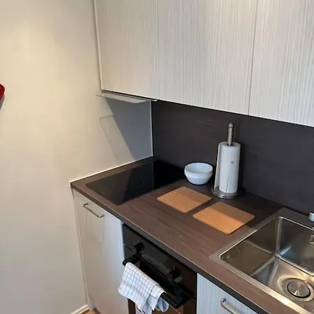 公寓 A Cozy In With A Balcony 赫尔辛基